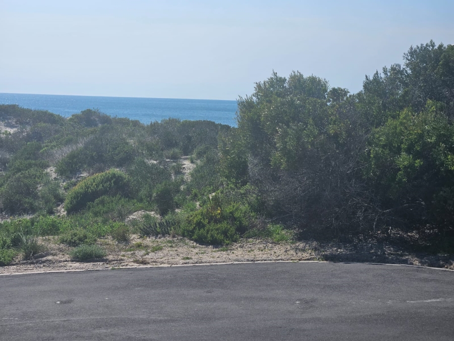 0 Bedroom Property for Sale in Shelley Point Western Cape